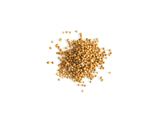 Product image for 1599