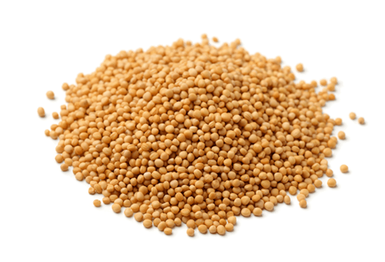 Product image for 1361