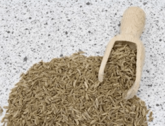 Product image for 1560