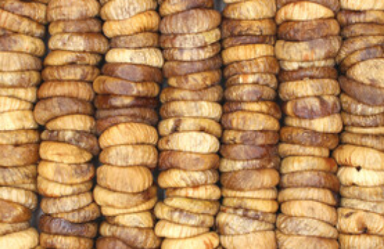 Product image for 1660