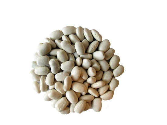 Product image for 1602