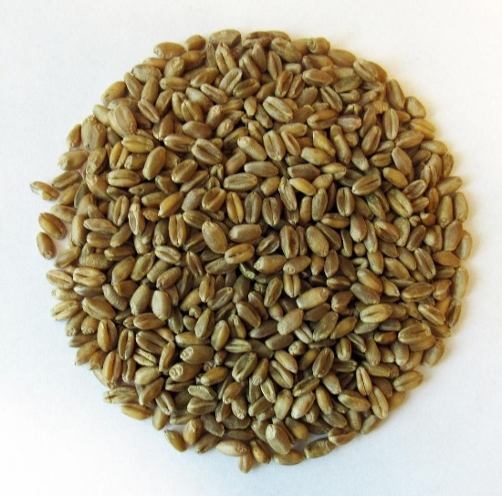 Product image for 1215