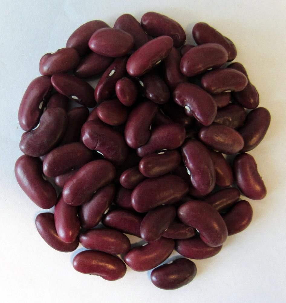 Kidneybønner, røde, 25 kg, økologisk