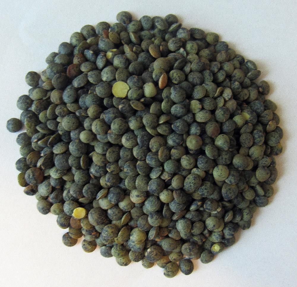 Linser, grønne, dupuy, 25 kg, økologisk